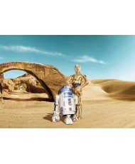 Painel decorativo Star Wars Lost Droid