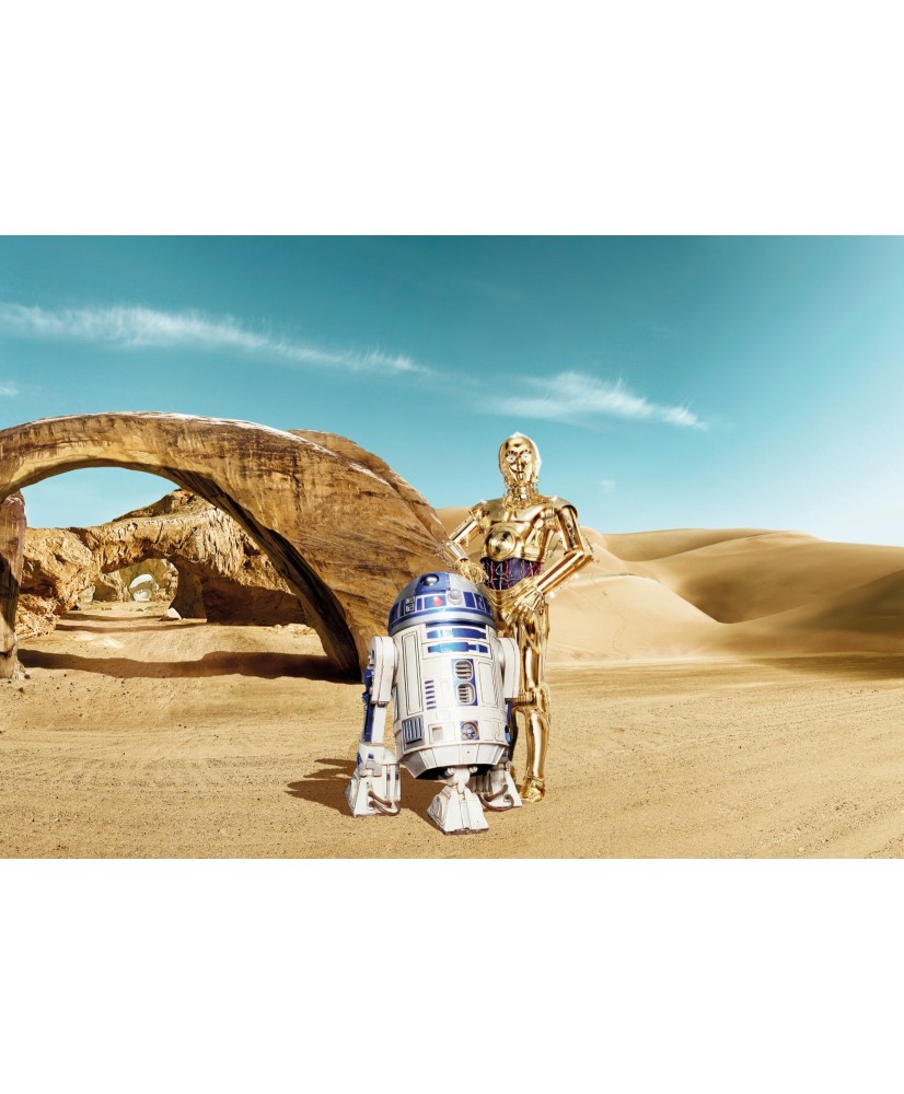 Painel decorativo Star Wars Lost Droid