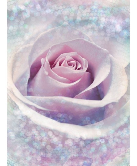 Painel decorativo DELICATE ROSE  