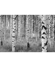 Painel decorativo WOODS  