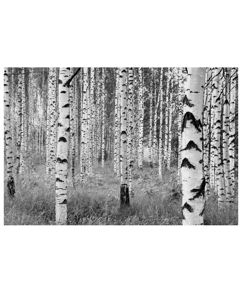 Painel decorativo WOODS  