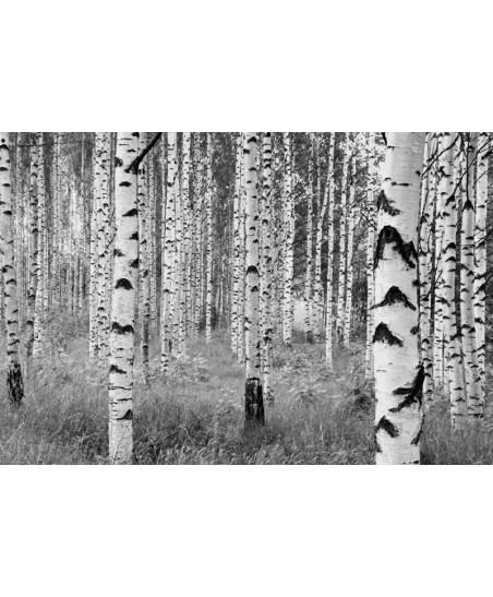 Painel decorativo WOODS  