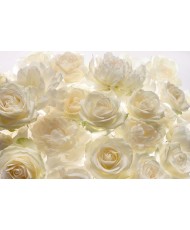 Painel decorativo SHALIMAR  