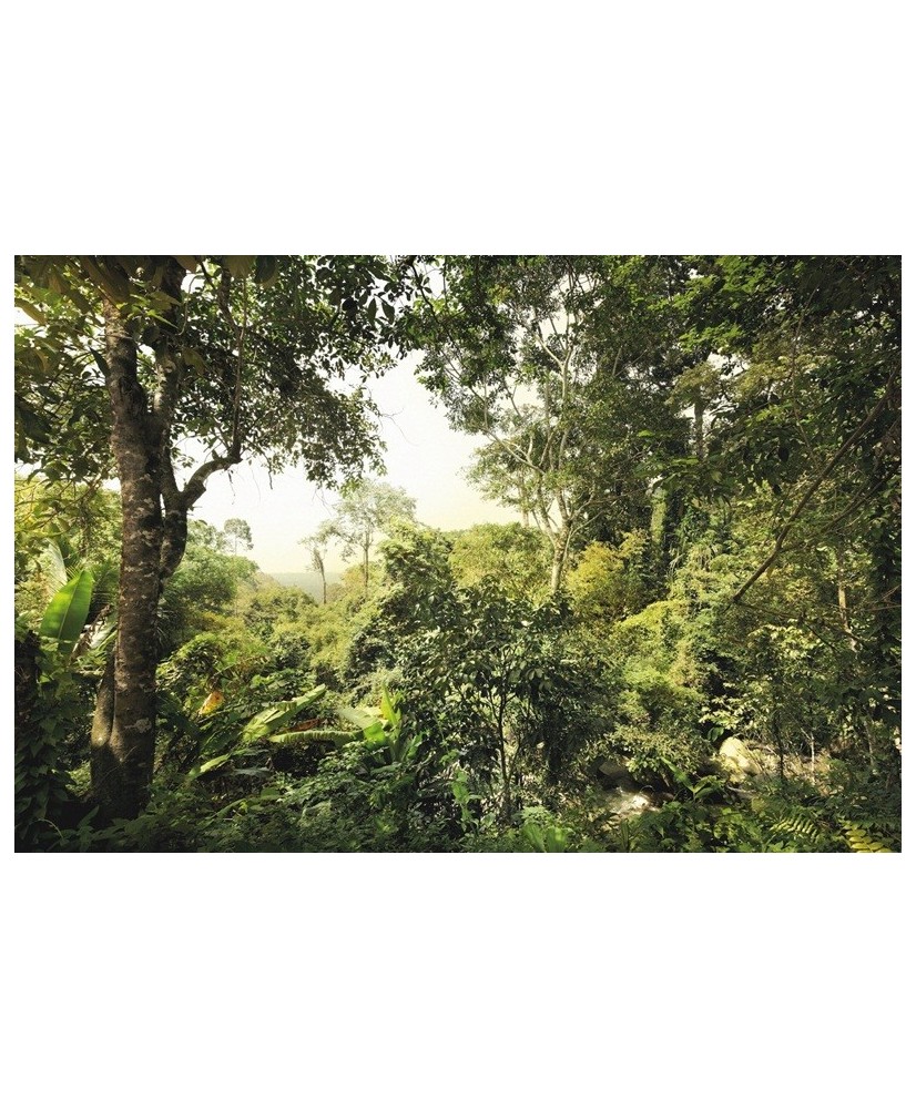 Painel decorativo DSCHUNGEL  