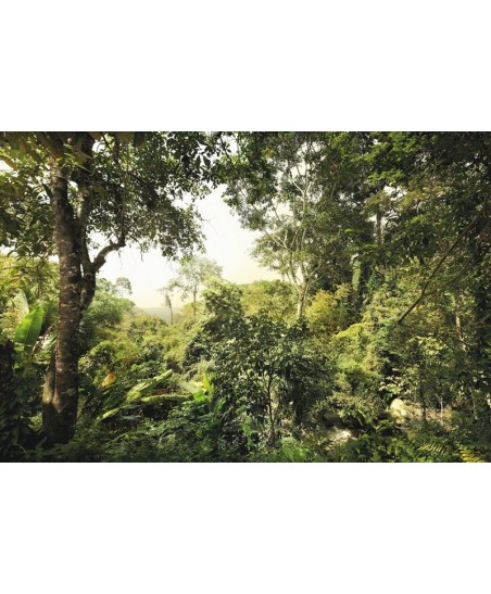 Painel decorativo DSCHUNGEL  