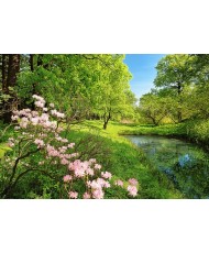 Painel PARK IN THE SPRING