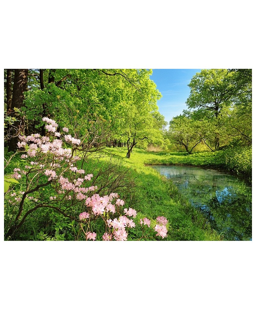 Painel PARK IN THE SPRING