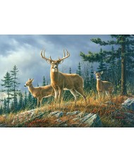 Painel AUTUMN WHITETAILS