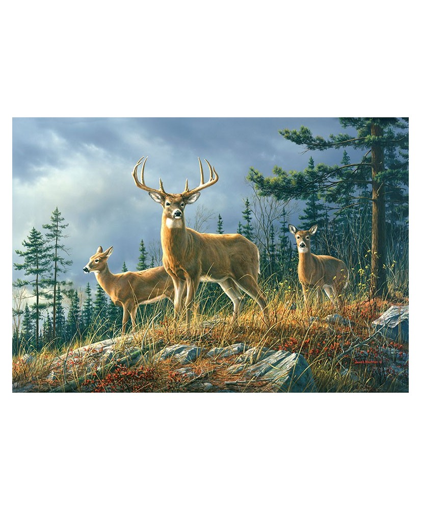 Painel AUTUMN WHITETAILS