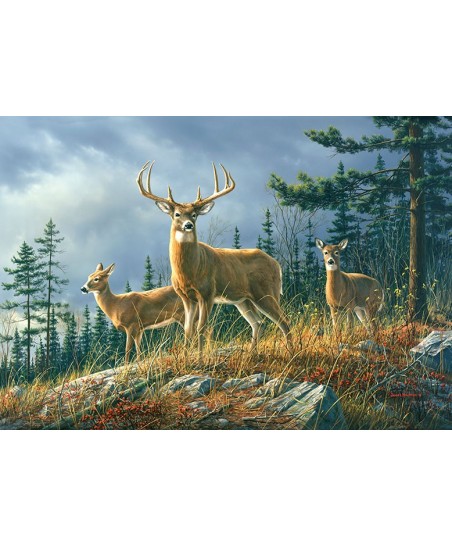 Painel AUTUMN WHITETAILS