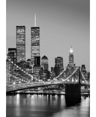 Painel MANHATTAN SKYLINE AT NIGHT