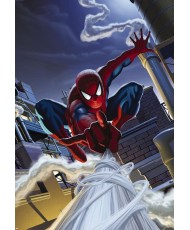 Painel decorativo Marvel Spiderman Rooftop  