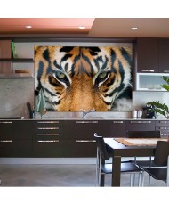 Painel TIGER