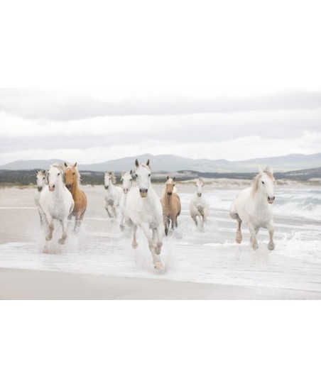 Painel decorativo Bay Bridge