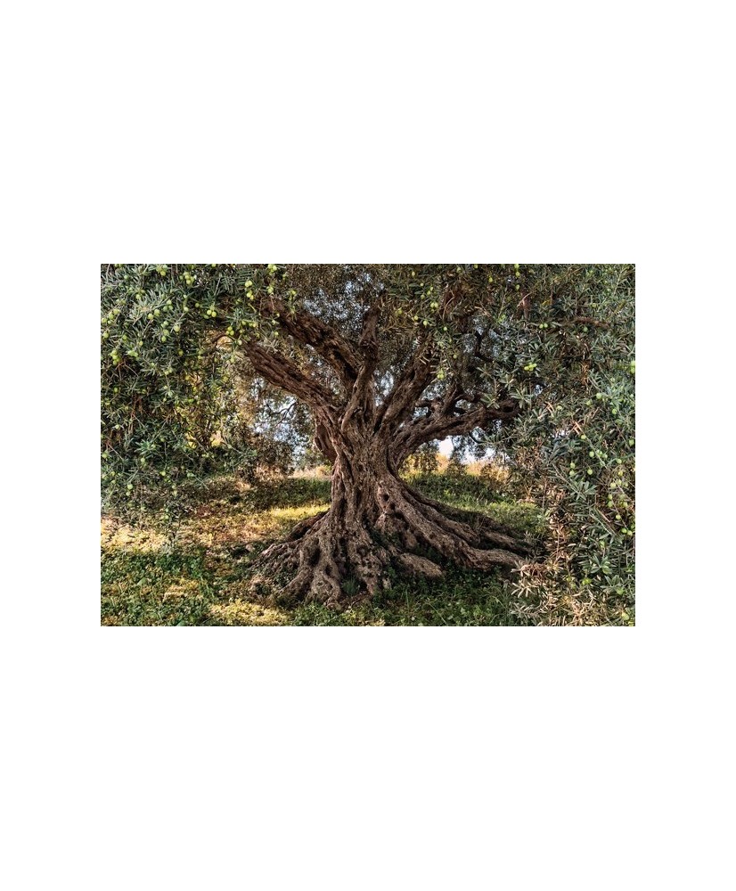 Painel decorativo Beach Resort