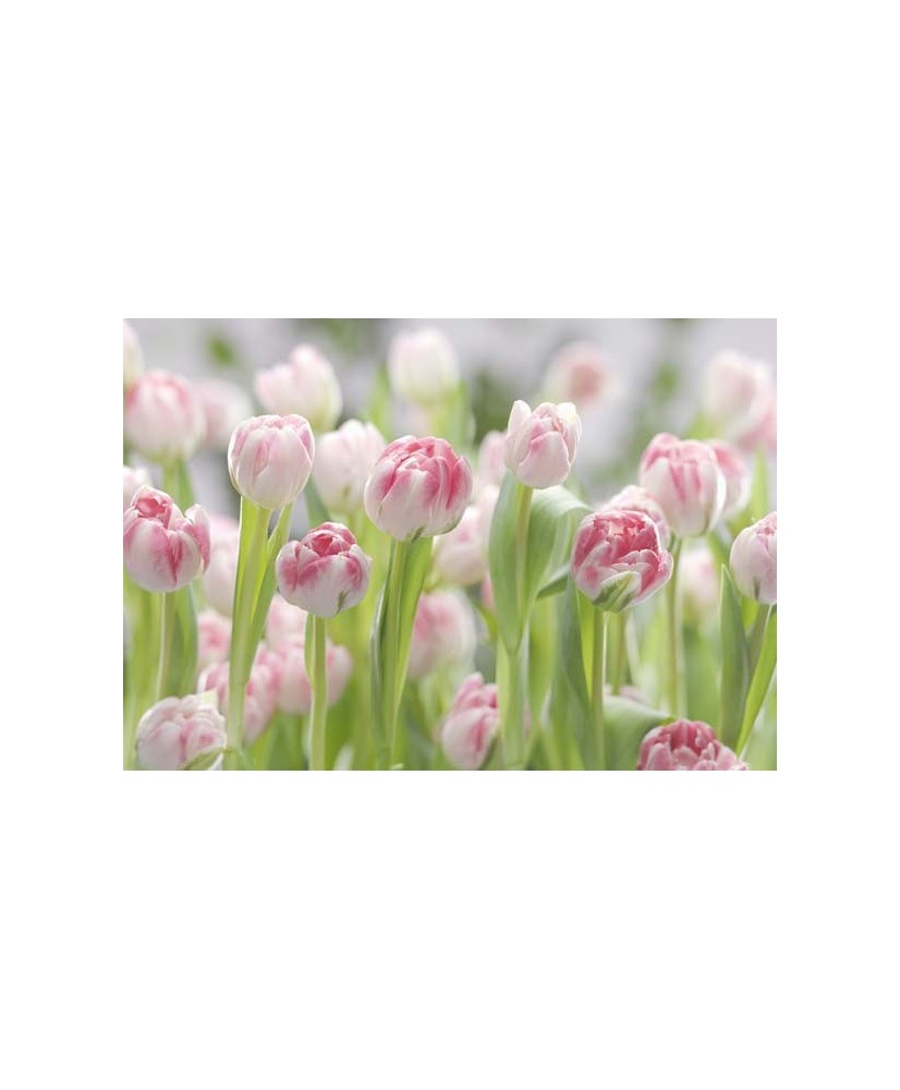 Painel decorativo Secret Garden Painel decorativo Secret Garden