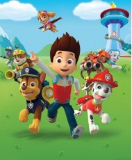 Painel Infantil PAW PATROL