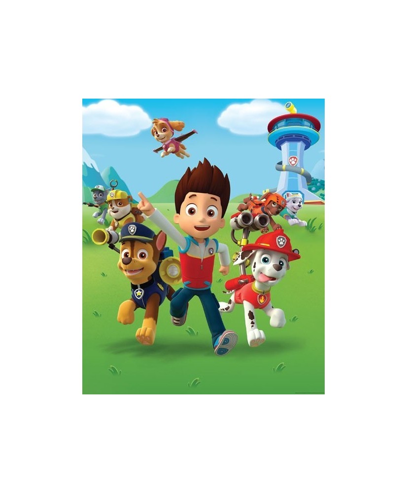 Painel Infantil PAW PATROL