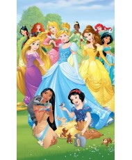 Painel Infantil PRINCESS DISNEY