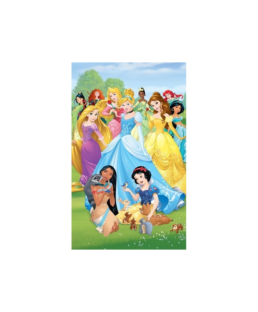 Painel Infantil PRINCESS DISNEY