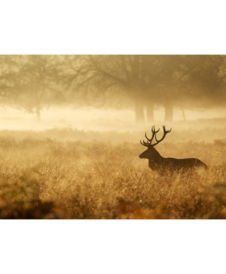 Painel decorativo LIBRARY 002