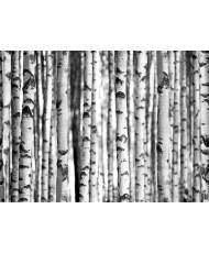 Painel decorativo STAG 001