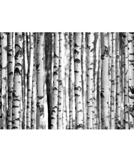 Painel decorativo STAG 001