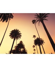 Painel decorativo ANTIQUE MAP 001