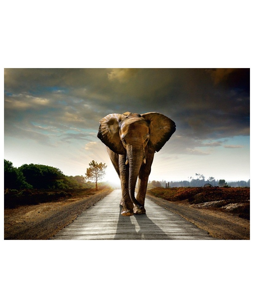 Painel Decorativo FT 0438