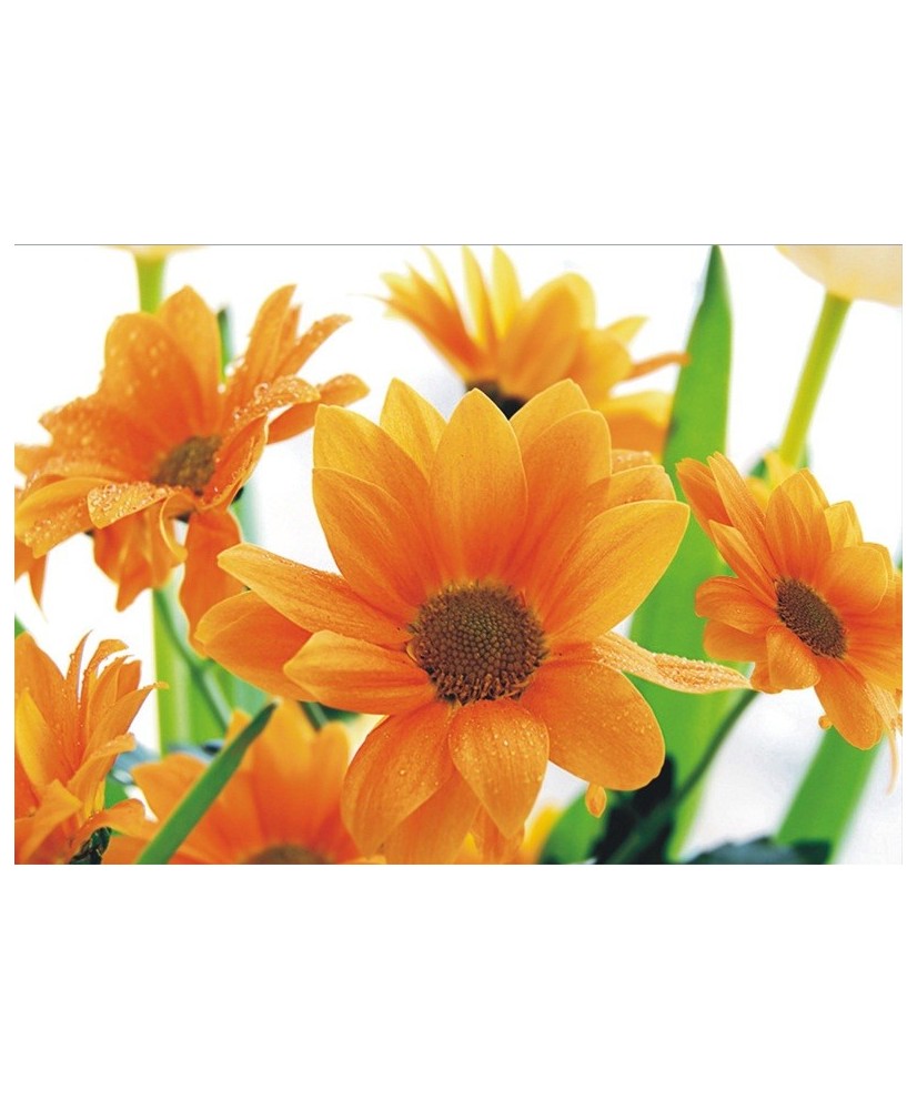 Painel Decorativo FT 0450