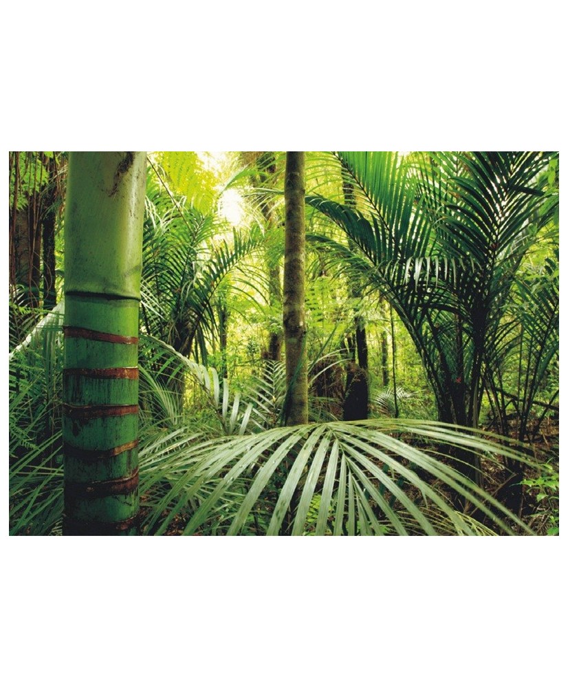 Painel Decorativo FT 0465