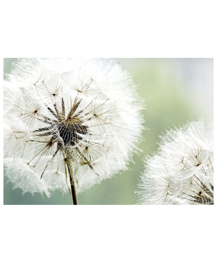 Painel Decorativo FT 0477