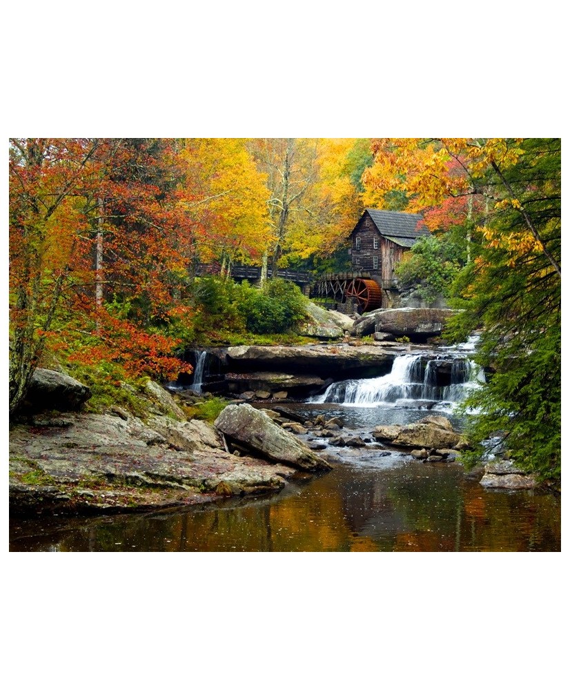 Painel Decorativo FT 1116