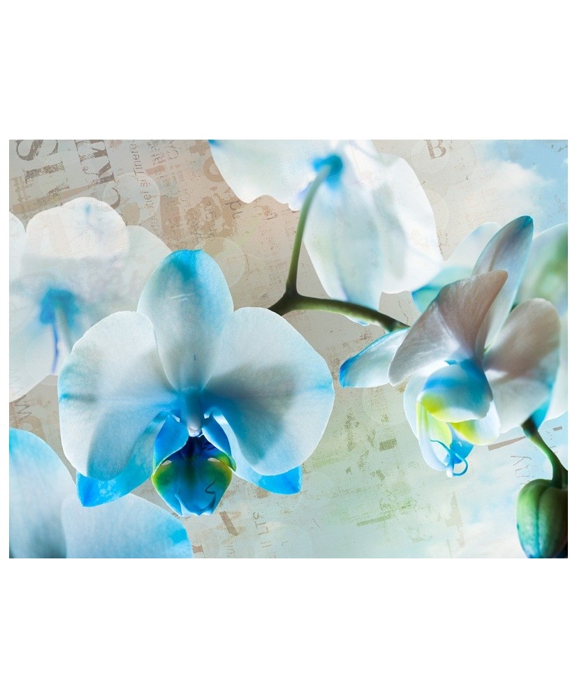 Painel Decorativo FT 1144