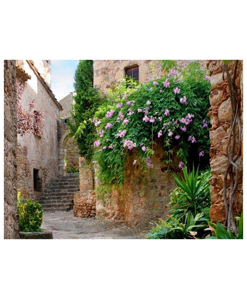 Painel Decorativo FT 1145