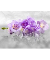 Painel Decorativo FT 2400