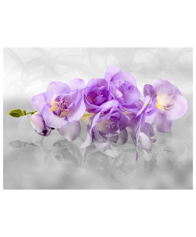 Painel Decorativo FT 2400