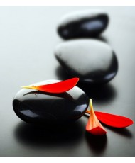 Painel Decorativo FTL 2504