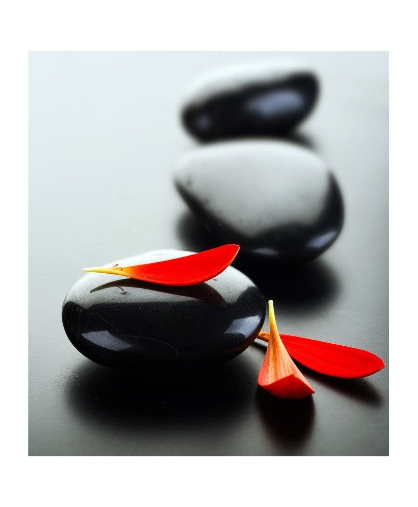 Painel Decorativo FTL 2504