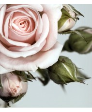 Painel Decorativo FTL 2506