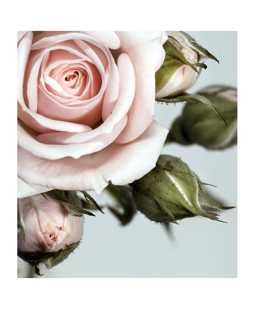 Painel Decorativo FTL 2506