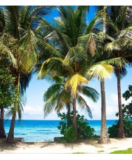 Painel Decorativo FTL 2510