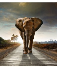 Painel Decorativo FTL 2514