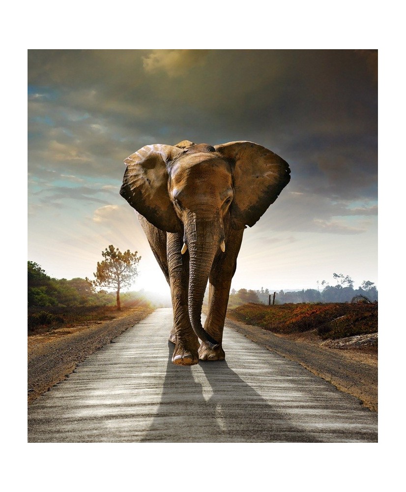 Painel Decorativo FTL 2514