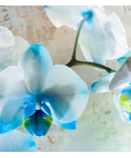 Painel Decorativo FTL 2518