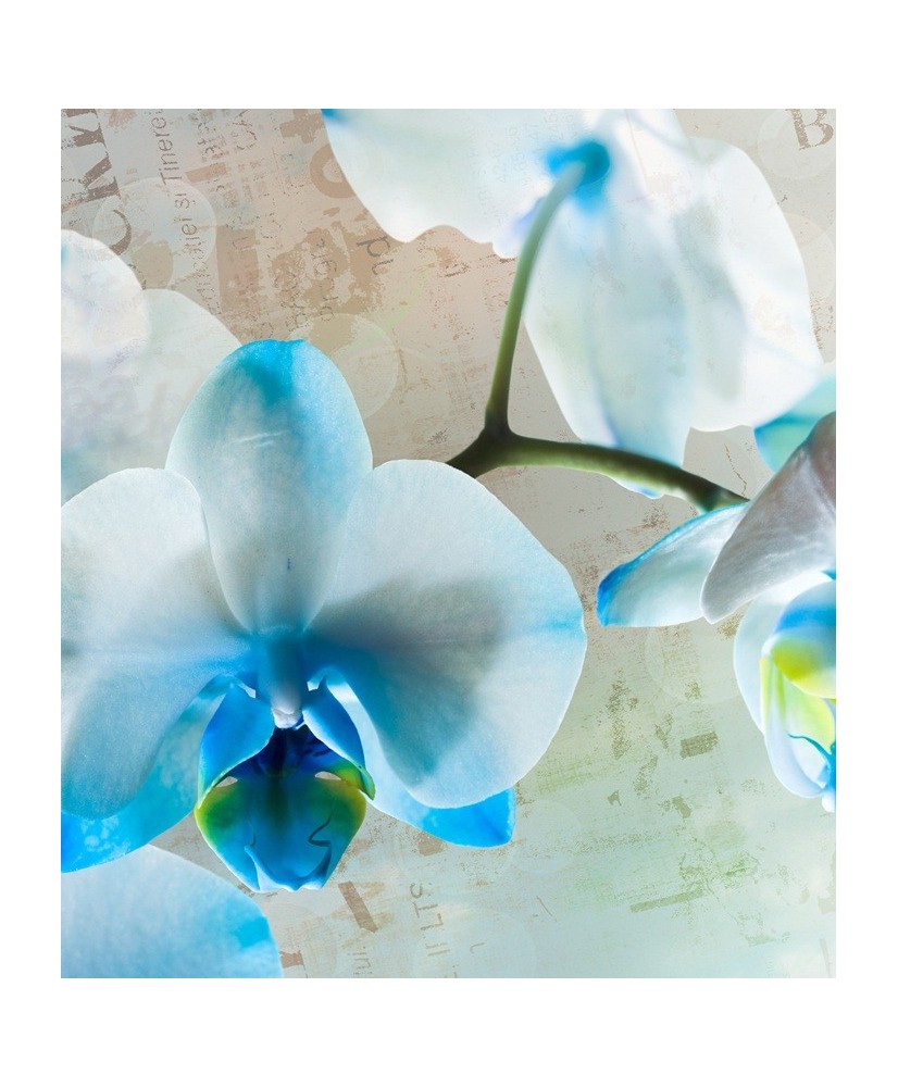 Painel Decorativo FTL 2518