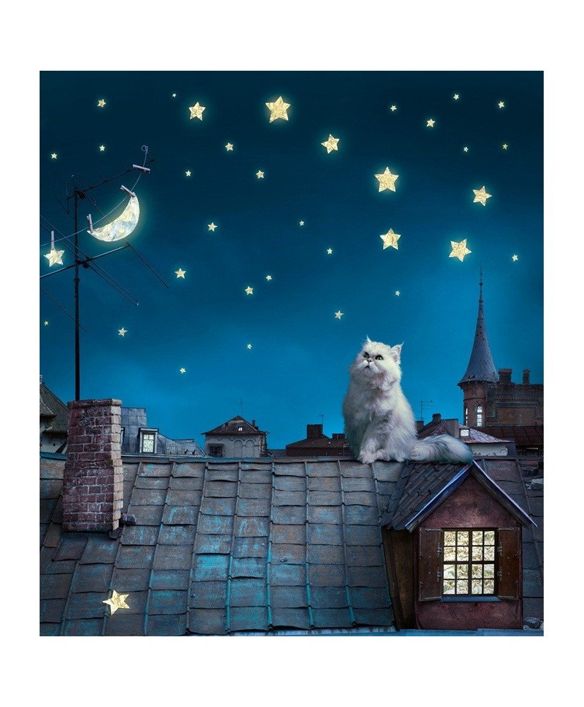 Painel Decorativo FTL 2526