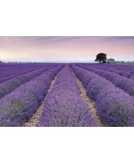 Painel decorativo POSITANO