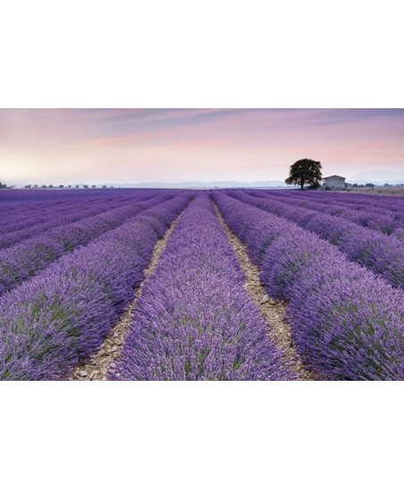 Painel decorativo POSITANO