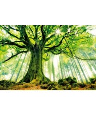 Painel decorativo THE PERFECT WAVE